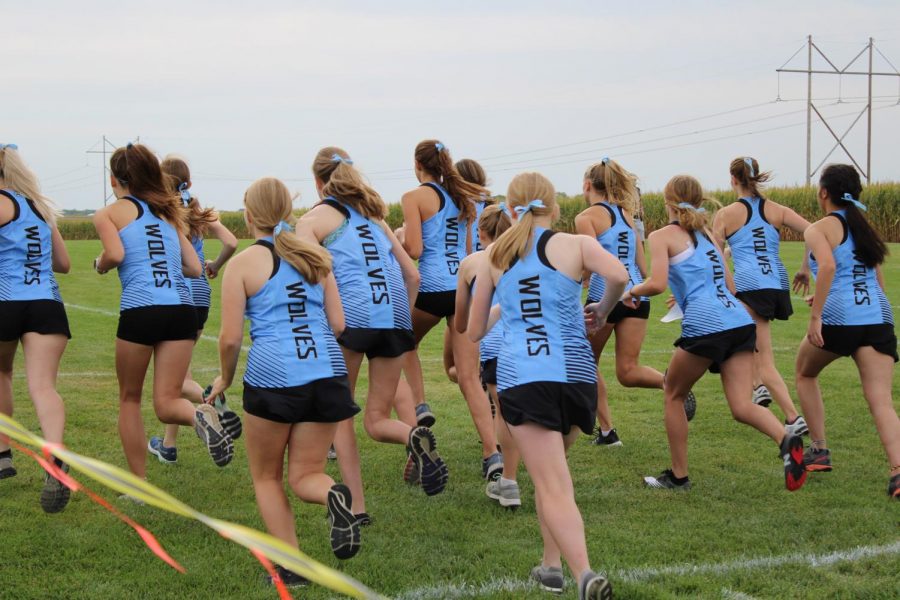 Girls+cross+country+team+running.