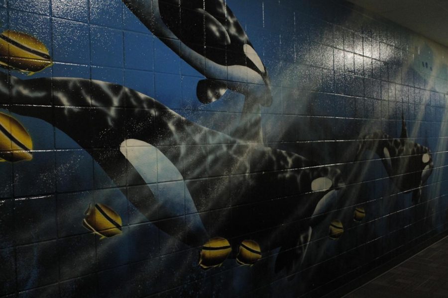 The whale wall at Elkhorn High School.