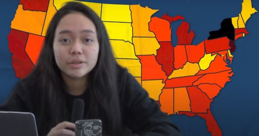 2020 in a Nutshell