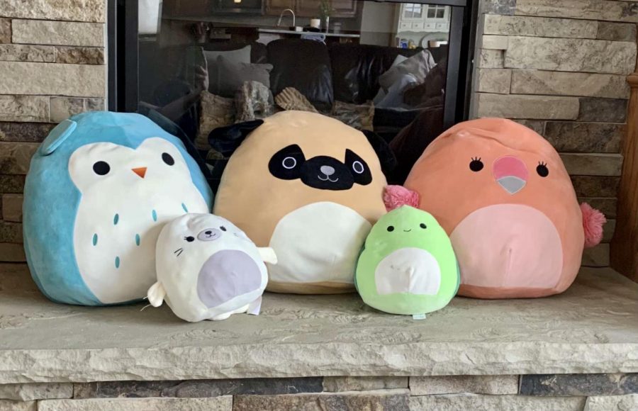 Emily Huff's owl, dog, flamingo, seal, and turtle Squishmallows.