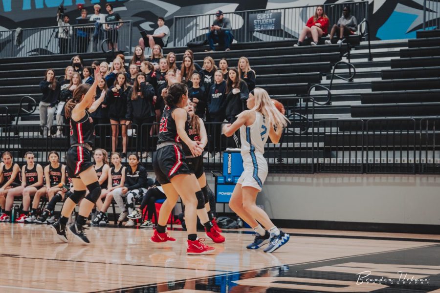 Britt Prince aiming for a cross-court pass from the corner. Her skill level commonly requires a double or triple team. 