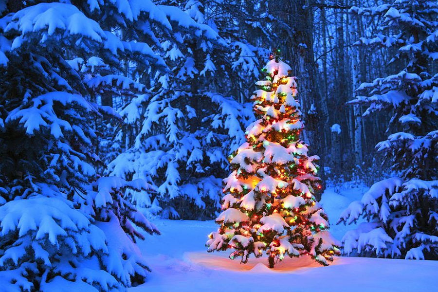 A+well+lit+Christmas+Tree+glistens+in+a+snowy+night+%28fun107.com%29.