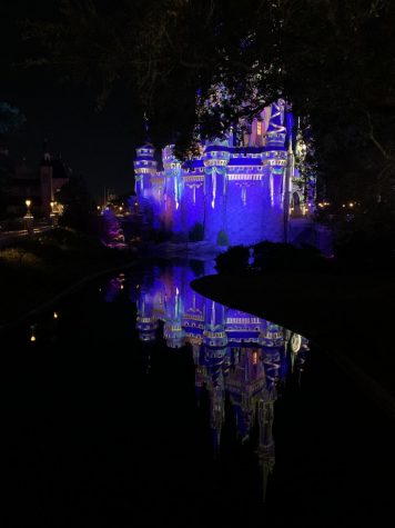 Magic Kingdom Castle at night