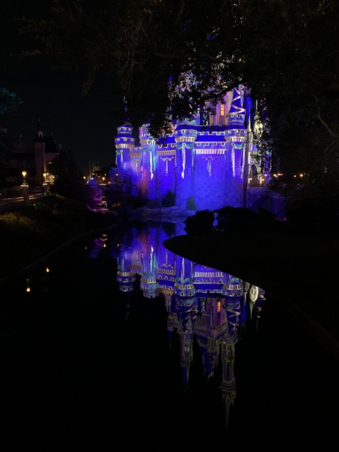 Magic+Kingdom+Castle+at+night