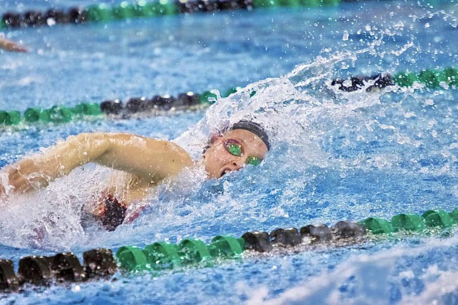 Swimming Superstar Lucia Krings