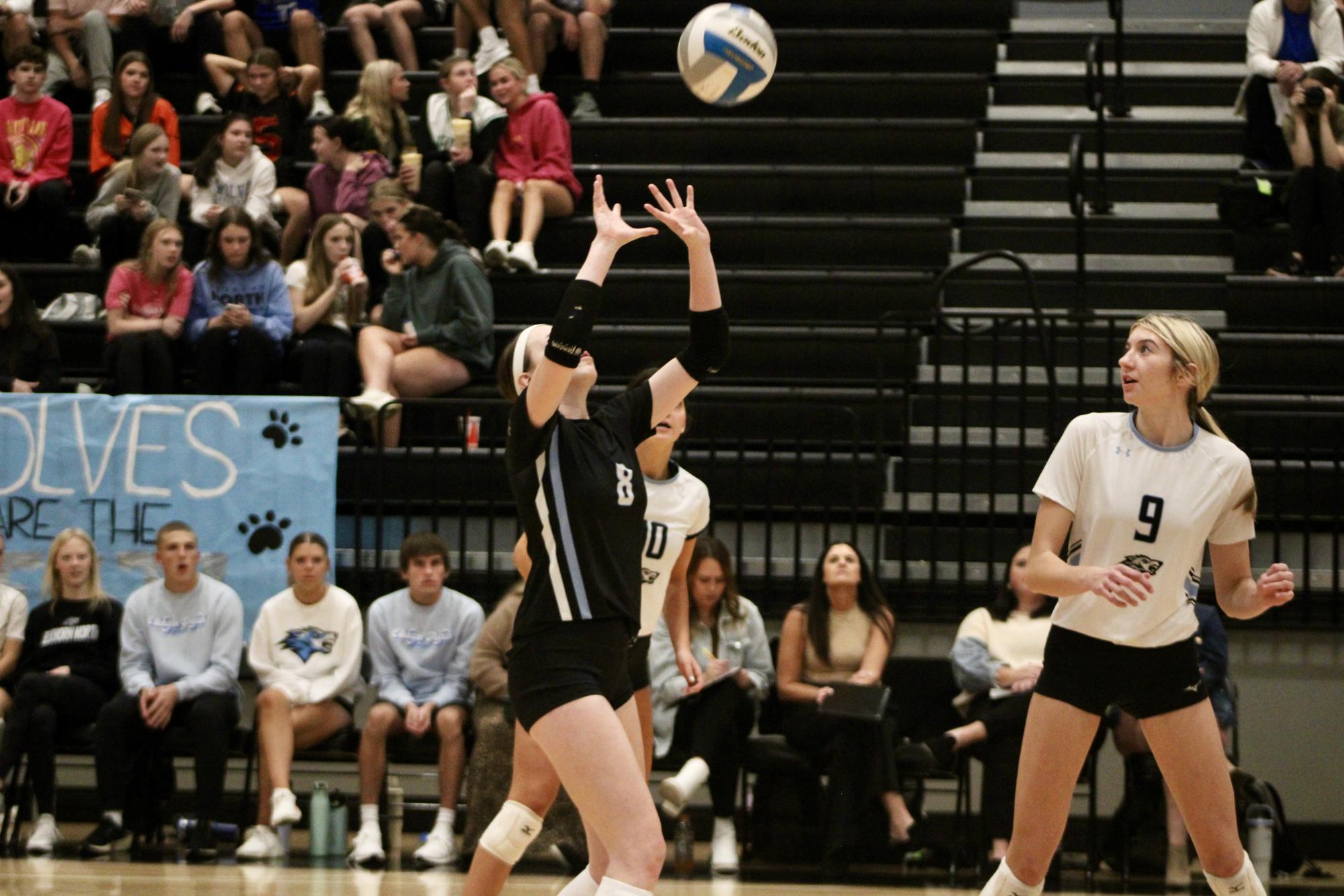 Senior Haylee Wolf (8) setting the ball in the third set at Sub-districts on October 24, 2023. Wolf has been the libero for Elkhorn North for four years.