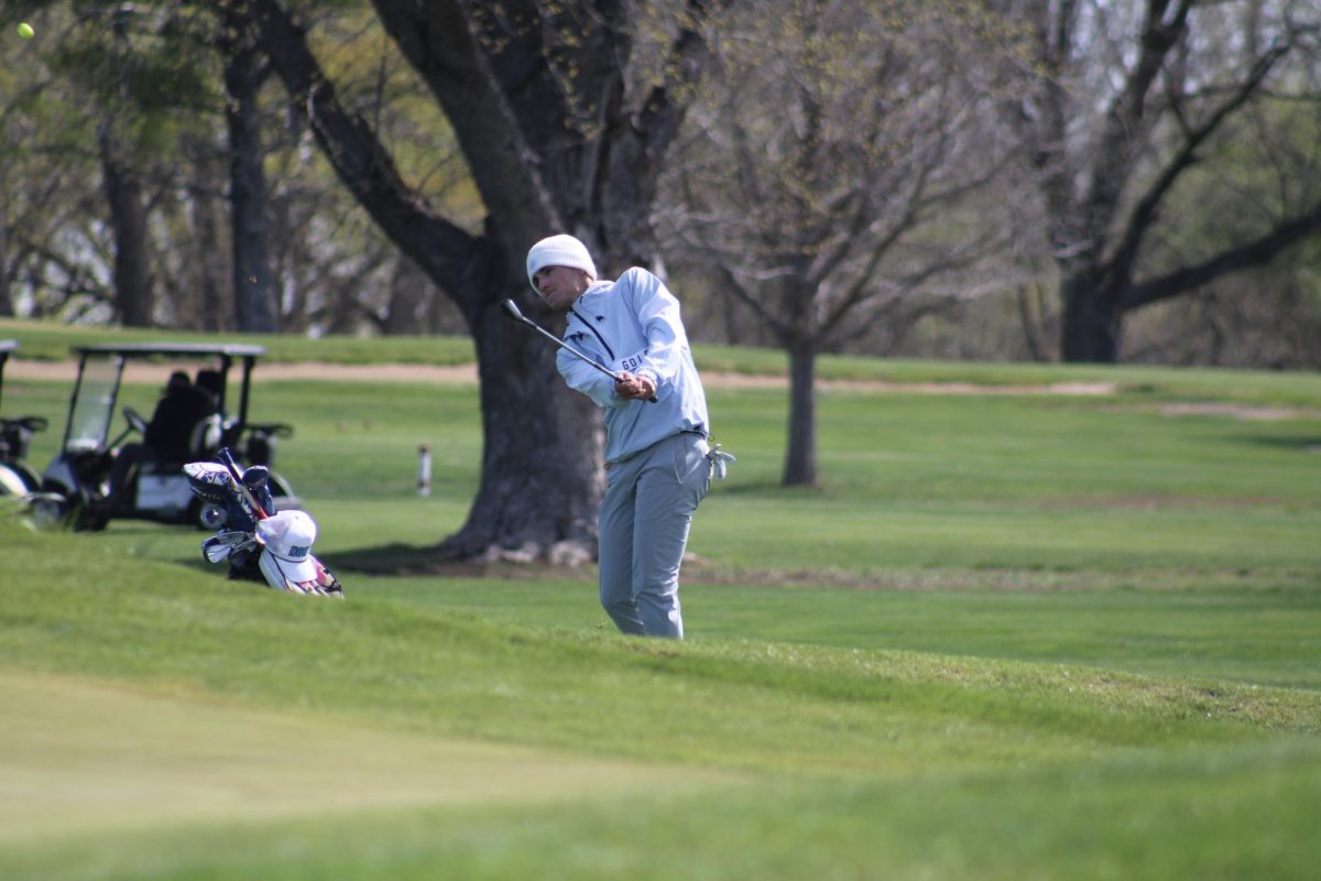 Tyler Nietfeldt (11) chips on to the green on the seventh hole at River Wilds. He sank the following putt for par at the Blair invite on April 19, 2024.