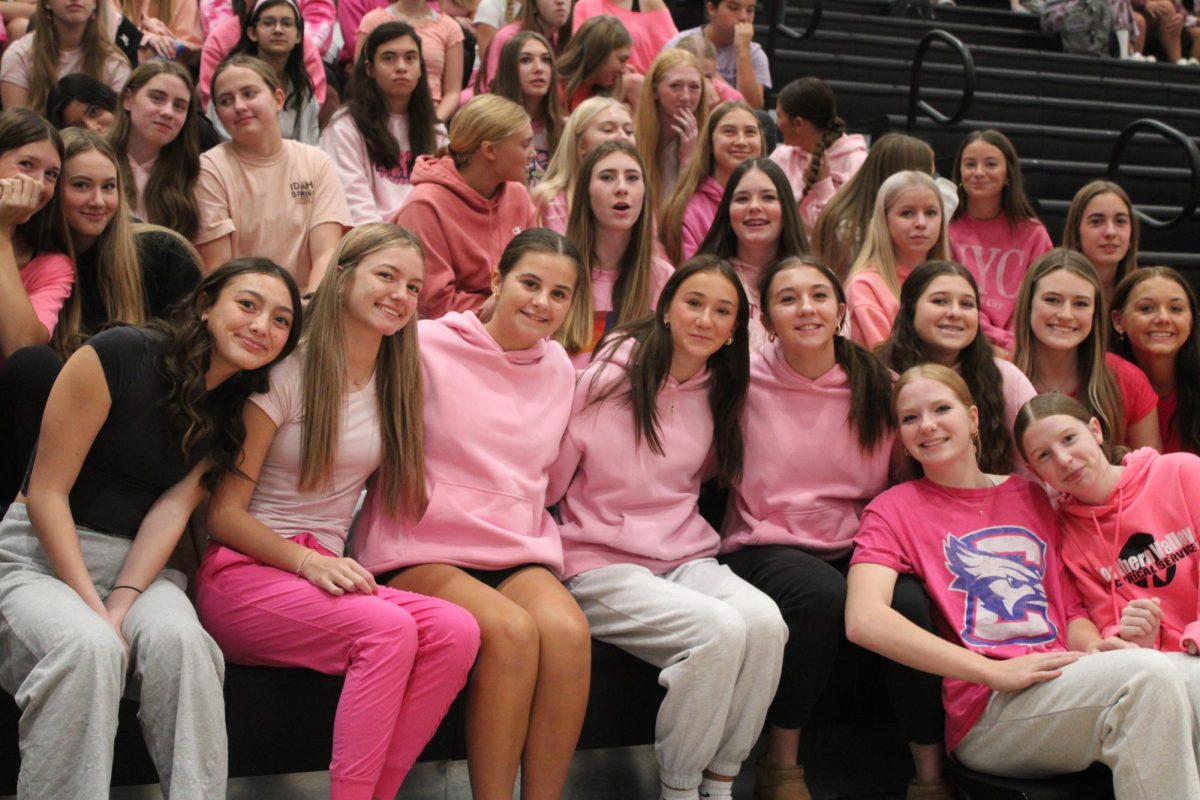 Group of freshman pose for a pictures after the pep rally. They all wore pink to show their school spirit and support for the theme of pink out for breast cancer. 