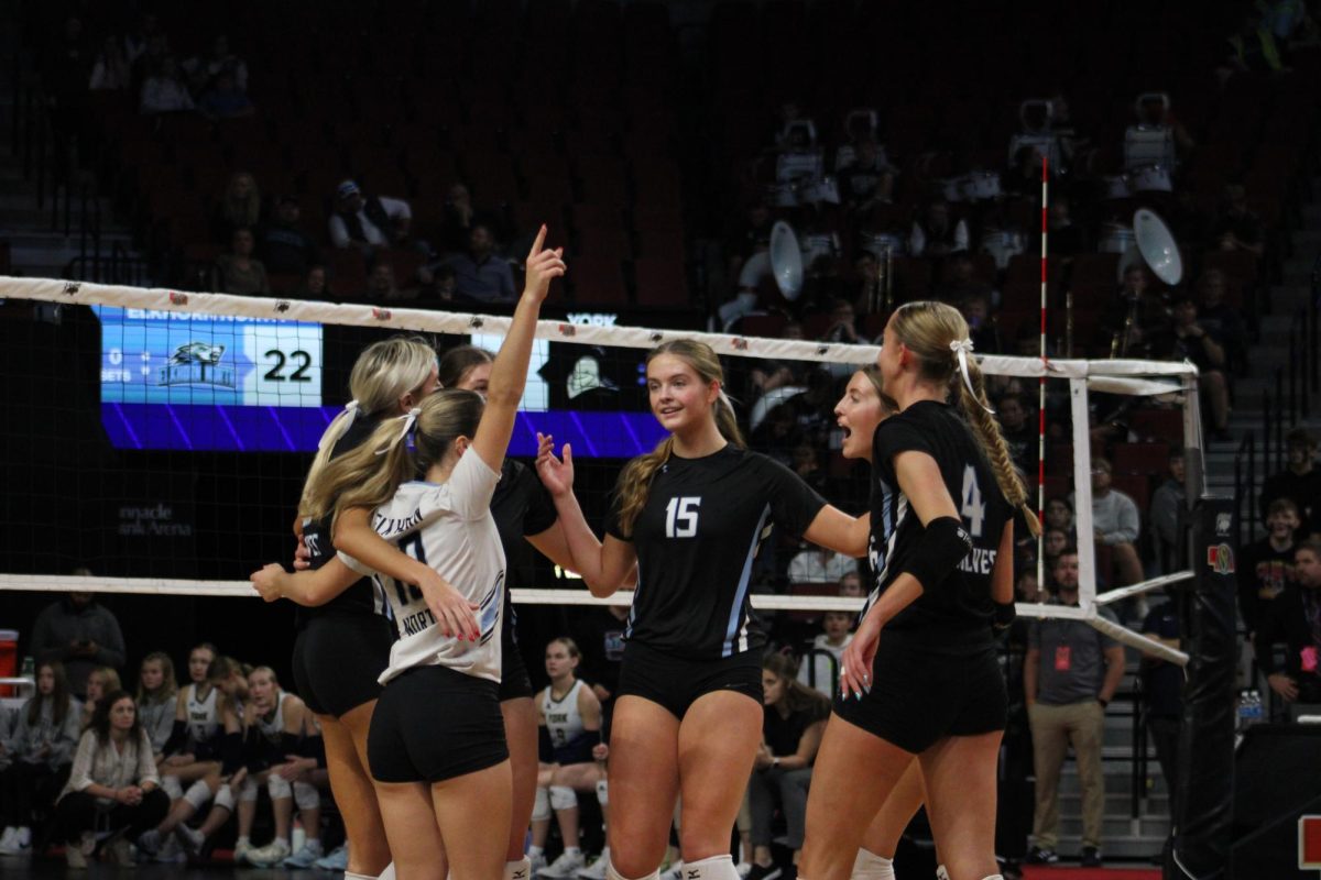 Volleyball team celebrated after scoring. The girls won the set in dominant fashion.