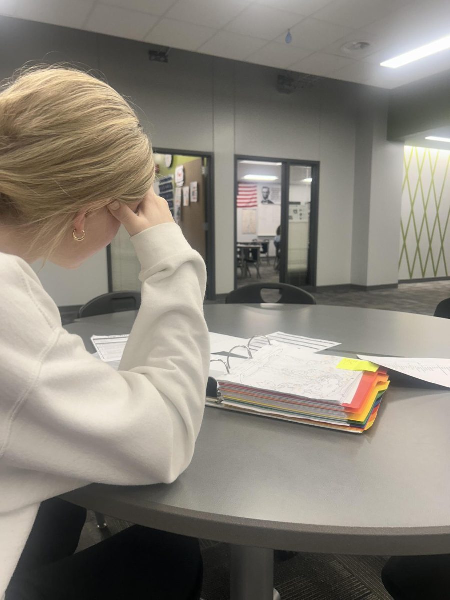 Sophomore Olivia Cemer is overwhelmed with her AP World History assignments. She wished she would have been better prepared for the amount of work.
