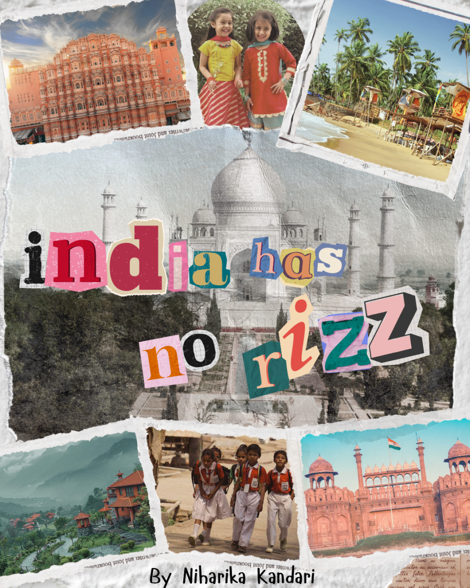 India Has No Rizz