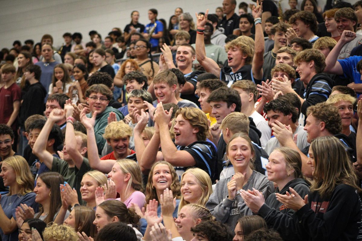 crowd cheering