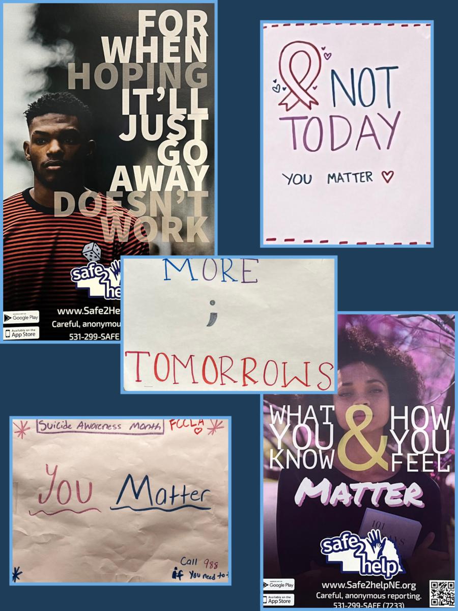 Various signs around school promoting anti-suicide and help lines. Posters like these are hung up near drinking fountains and on doors to classrooms. Photo by Emmie Ashby.