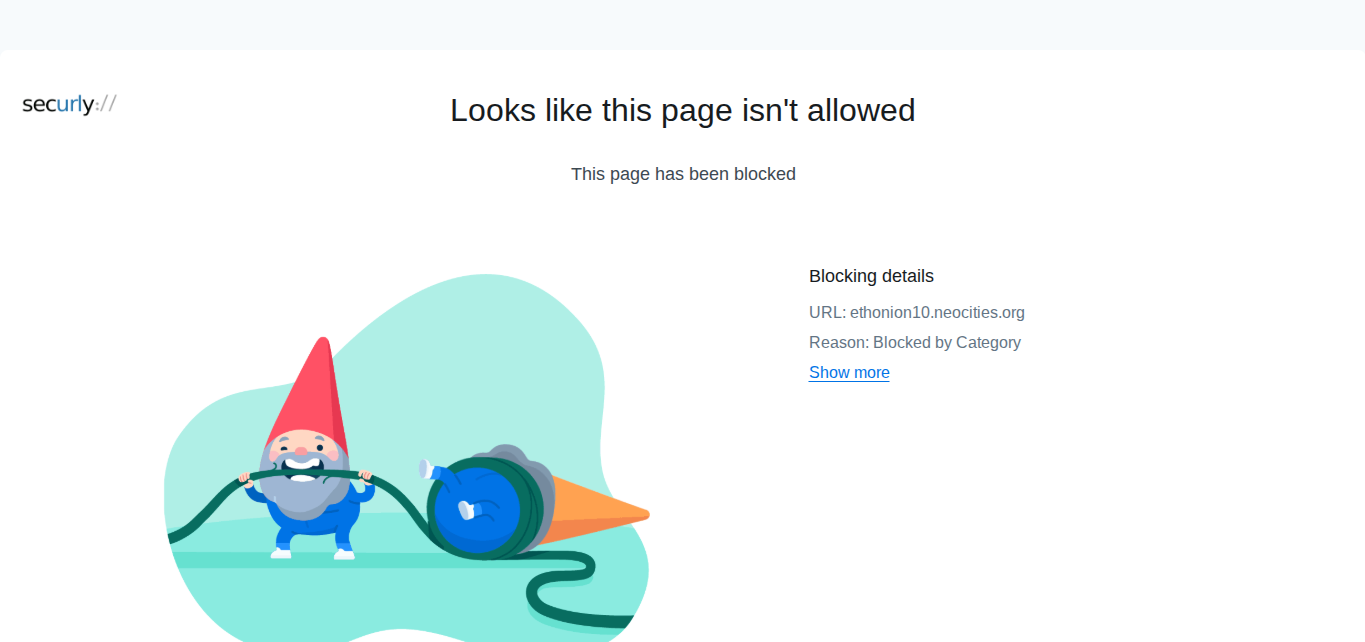 This is the image of the chromebook screen when the EPS Web filter is being used. 