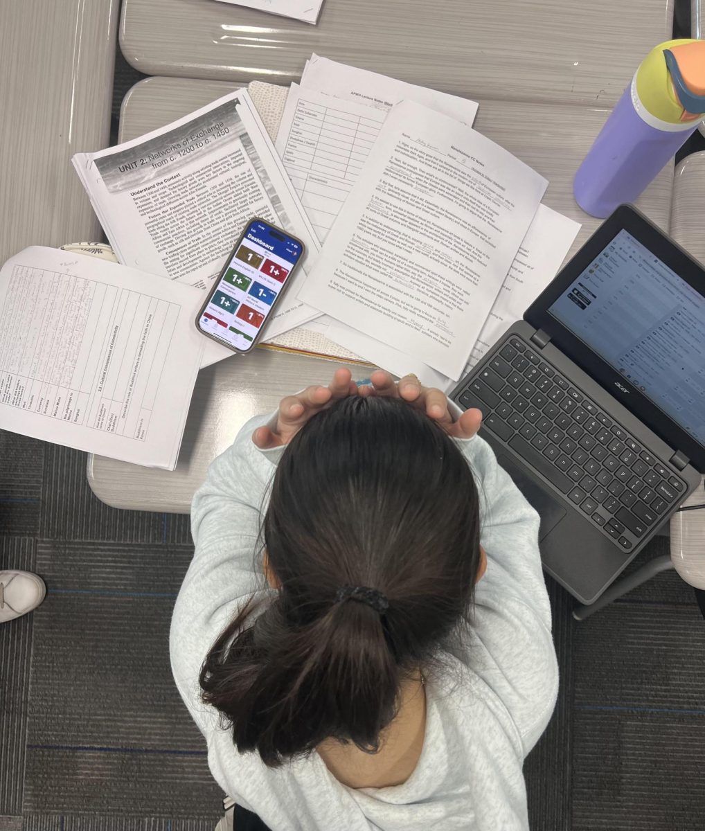 Student Abigail Kwon stresses about keeping her grades up. The constant pressure to be perfect weighs heavily on students.