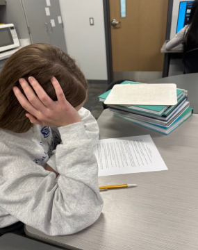 Junior Hannah Skudlarek peer editing. 